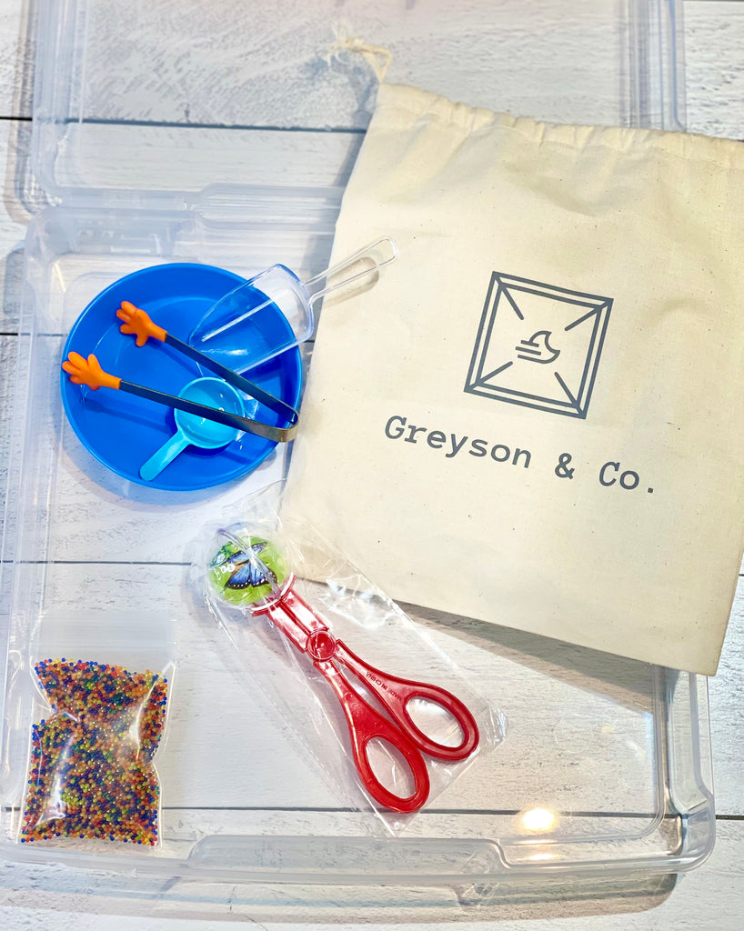 Sensory Bin - Greyson & Company